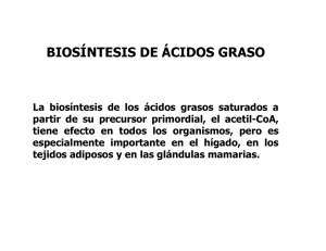 í á biosíntesis de ácidos graso