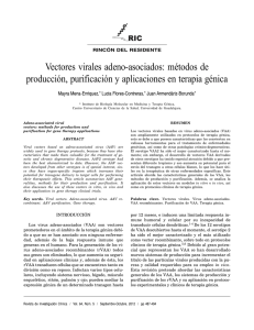 Vectores virales adeno-asociados: métodos de