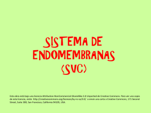 SISTEMA DE ENDOMEMBRANAS (SVC)