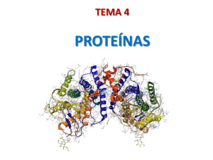 Tema 4. Las proteínas