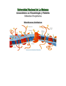 Membranas biológicas - Bioquimica Kinesiologia UNLaM