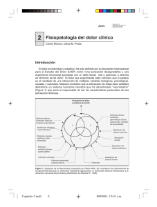 Fisiopatología del dolor clínico 2