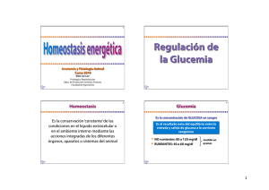 Regulación de la Glucemia - Departamento de Producción Animal y
