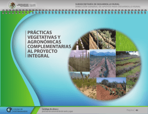Prácticas vegetativas y agronómicas