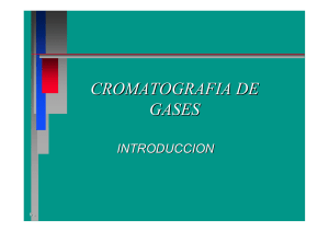 CROMATOGRAFIA DE GASES
