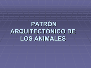 Patrón arquitectónico de los animales