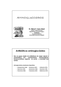 Aminoglucosidos - Universidad Autónoma de Madrid