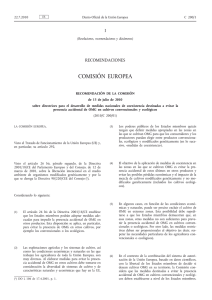 Recomendación de la Comisión, de 13 de julio de 2010, sobre