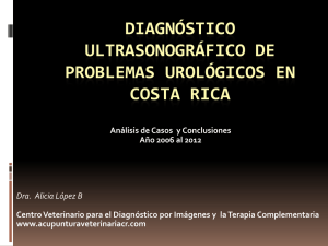 diagnóstico ultrasonográfico de problemas urológicos en costa rica