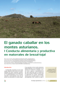 El ganado caballar en los montes asturianos.
