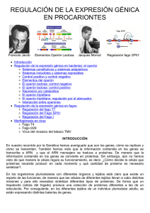 Regulación de la expresión génica en procariontes