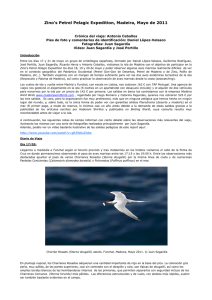 Zino`s Petrel Pelagic Expedition, Madeira, Mayo de