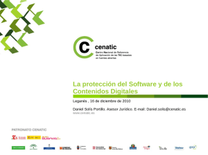 La protección del Software y de los Contenidos Digitales - e
