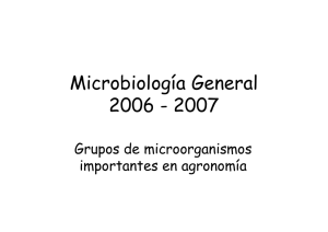 Microbiología General 2006 - 2007