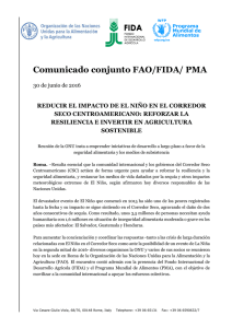 Comunicado conjunto FAO/FIDA/ PMA