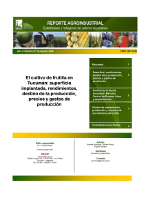 El cultivo de frutilla en Tucumán: superficie implantada