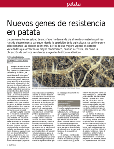Nuevos genes de resistencia en patata