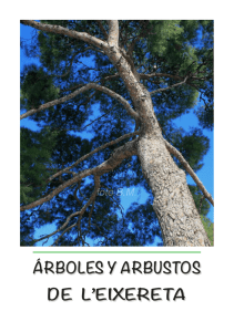 Árboles y arbustos de l`Eixereta (Burjassot)