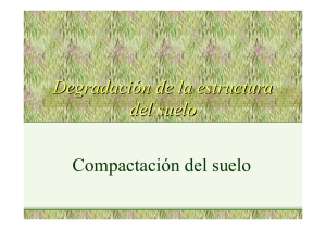 Degradación de la estructura del suelo Compactación del suelo