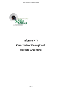 Informe N°4 Caracterización regional: Noreste