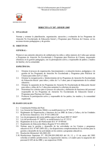 directiva nº 207 - dineip/-2005