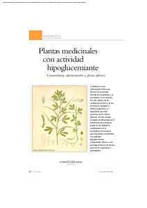 Plantas medicinales con actividad hipoglucemiante