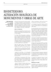 BIODETERIORO. ALTERACIÓN BIOLÓGICA DE MONUMENTOS Y
