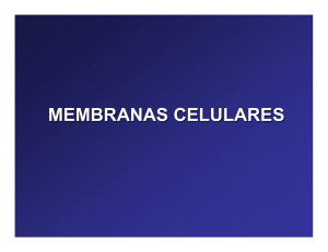 MEMBRANAS CELULARES
