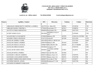 COLEGIO DE ABOGADOS Y PROCURADORES DE VILLA