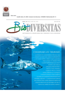 Conservar los tiburones - Biodiversidad Mexicana