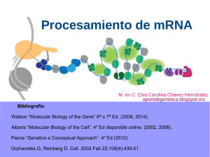 Procesamiento de mRNA