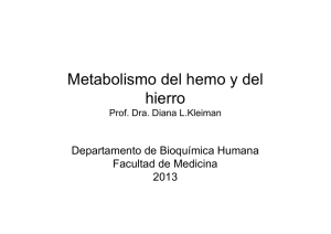 Metabolismo del hemo y del hierro 2013