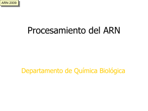 Procesamiento del ARN - Departamento de Quimica Biologica