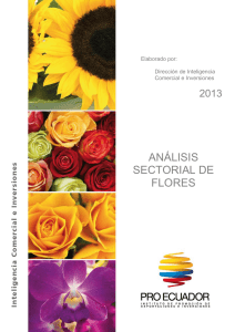 análisis sectorial de flores