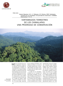 VERTEBRADOS TERRESTRES DE LOS CHIMALAPAS: uNA