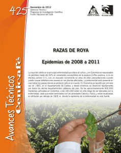 RAZAS DE ROYA Epidemias de 2008 a 2011