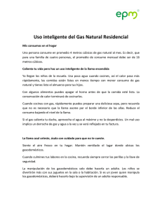 Uso inteligente del Gas Natural Residencial