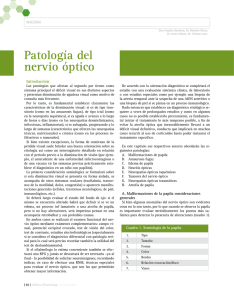 Patología del nervio óptico - Consejo Argentino de Oftalmología