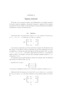 Algebra matricial - OCW Universidad de Cantabria
