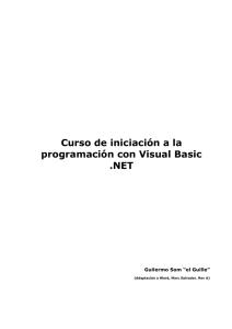 Curso de iniciación a la programación en VB .NET