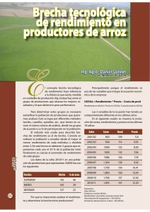 Brecha tecnológica de rendimiento en productores de arroz