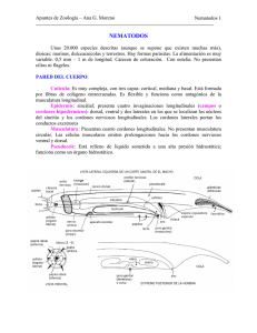 NEMATODOS