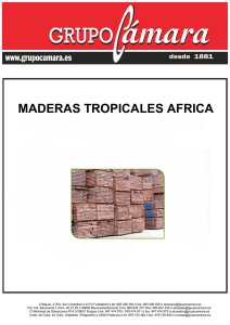 MADERAS TROPICALES AFRICA