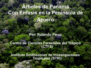 Inventarios y censos de árboles en los bosques del Canal de Panamá