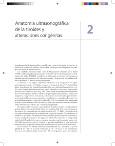 Anatomía ultrasonográfica de la tiroides y alteraciones congénitas