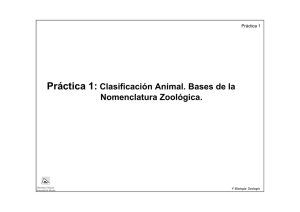 Práctica 1-zoología