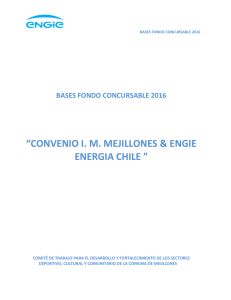 Bases Fondo Concursables Mejillones 2016