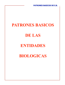 11-Patrones básicos de Entidades-Biologicas