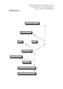 los cuatro cladogramas