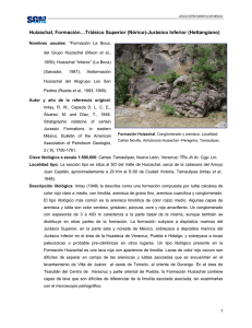 Huizachal, Formación…Triásico Superior (Nórico)